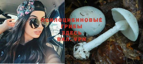 COCAINE Вязьма