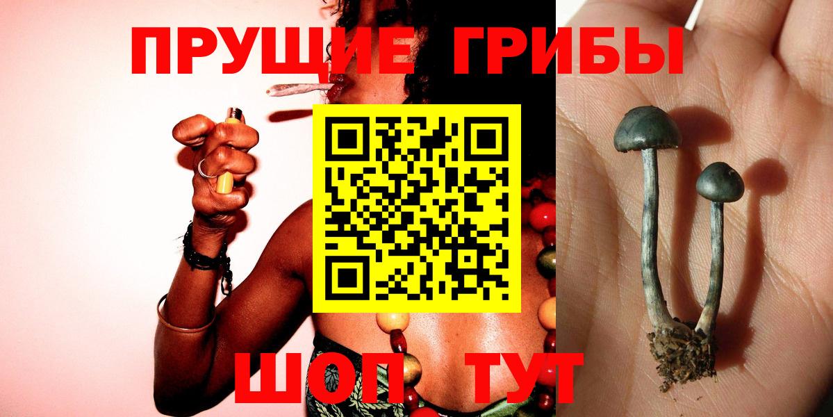 Галлюциногенные грибы мухоморы Железногорск