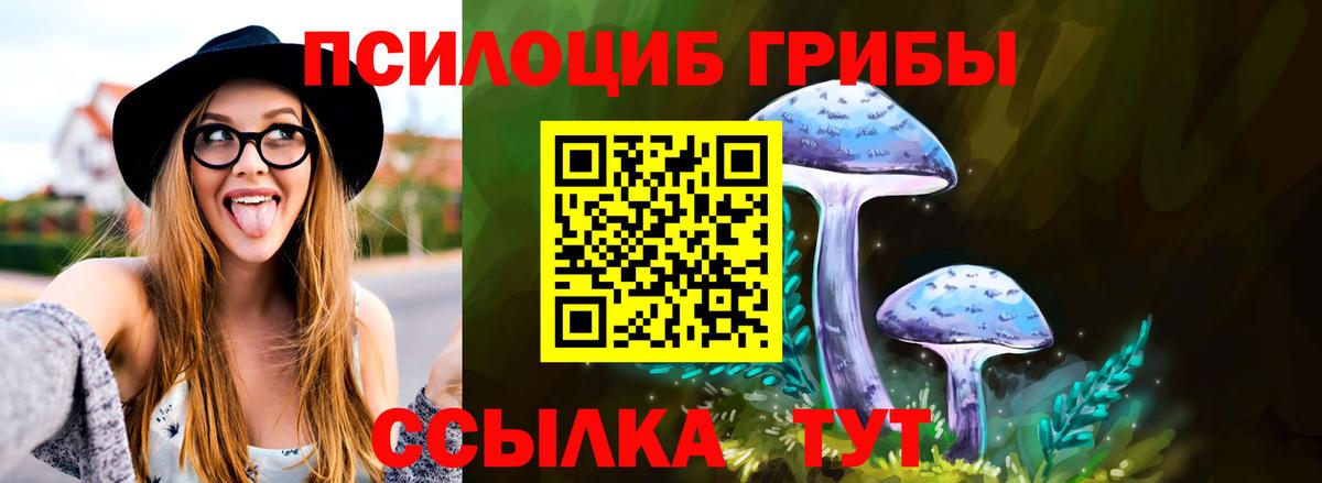Псилоцибиновые грибы мухоморы  Вход с VPN  Железногорск 